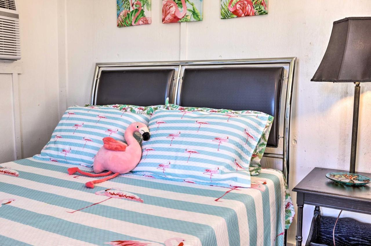 Flirty Flamingo Studio 1 Mi To Canyon Lake Exterior photo